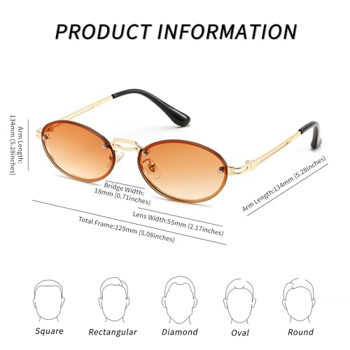 FEISEDY Retro Oval Sunglasses for Women Men Trendy Sun Glasses Classic Metal Shades UV400 Protection B02454