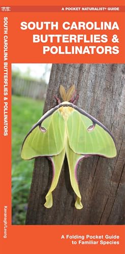 South Carolina Butterflies & Pollinators: A Folding Pocket Guide to Familiar Species (Nature Observation North America)