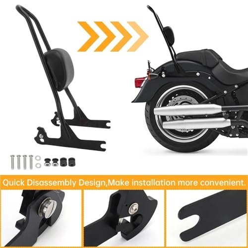 Appui-dos passager Softail pour savourer vos grands road-trips et trajets à deux - 4