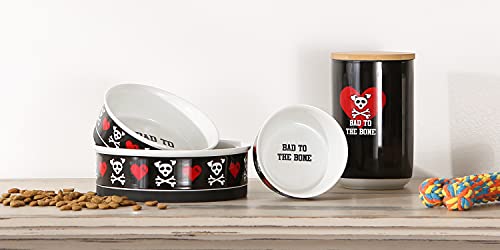 Petit Ensemble de gamelles Bone Dry pour le repas des chiots et chats - 14