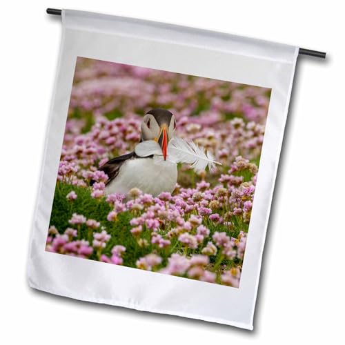 Drapeau de jardin pour raviver un extérieur terne modèle compact FL 228089 3dRose - 2