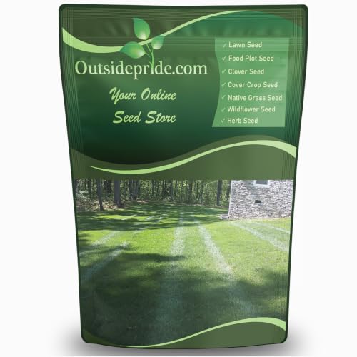 Outsidepride SPF-30 Hybrid Bluegrass Seeds, 5 lbs.