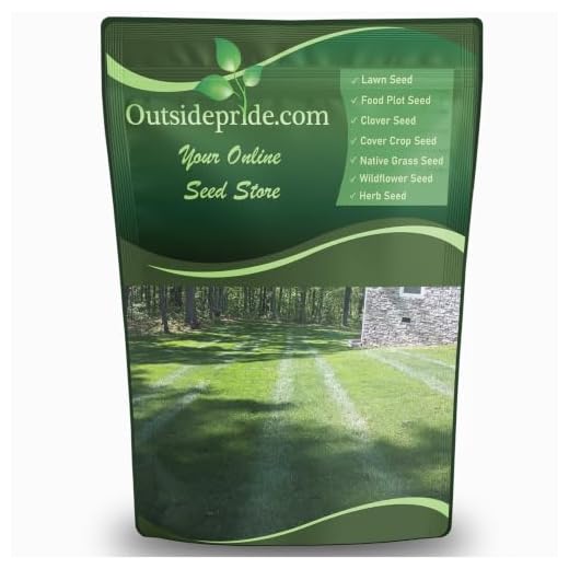 Outsidepride SPF-30 Heat & Drought Tolerant Hybrid Bluegrass Lawn Grass Seed - 10 LBS