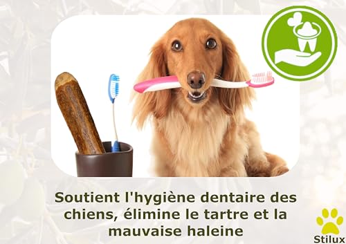 Stilux® Bâton à mâcher en Bois d'olivier pour Chiens,Taille L, Jouet d'occupation pour Chien jusqu'à 30Kg, Friandise Os en Bois 100% Naturel et Durable – vue 5