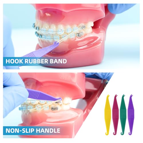 500 Pcs Orthodontic Elastic Rubber Bands, 4.5 Oz 1/4" Size Dental Rubber Traction Bands for Teeth Gap, Braces, Dog Grooming Top Knots, Bows, Braids, Tooth Gaps, and Dreadlocks image 1