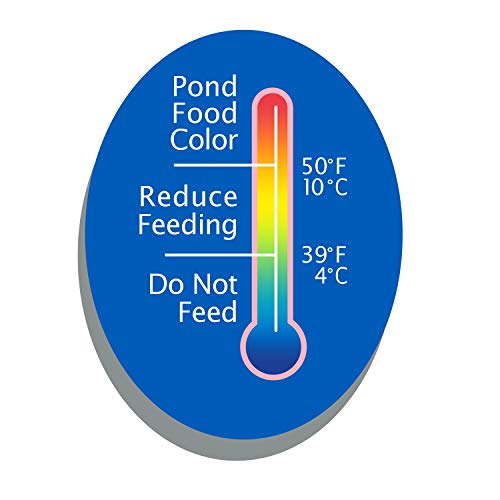 Tetrapond Pondfood Color Flakes, Color-Enhancing Flaked Fish Food For Small Ponds, 6-Ounce (77021) #TOP7