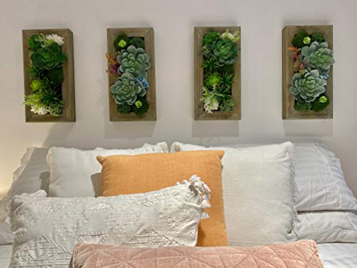 Room & Bloom Artificial Succulent Wall Art Flower Decor Kitchen Decorations Lounge Room Dining Room Picture 3D Living Room Floral Framed Fake Faux Hanging Succulents House Decor Green Hanger #TOP2