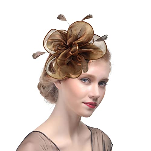 ITODA Fascinator Hut Damen Haarschmuck Organza Pillbox Hut mit Feder Hochzeitshut 1920s Vintage Royal Damenhut mit Clip Stirnband Blumen Haarspange Braut Hochzeit Partyhut Kirche Teeparty