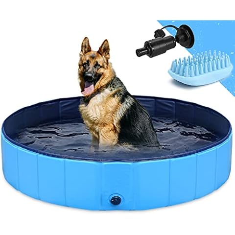 GoStock Piscina de plástico para perros resistente y plegable Cover