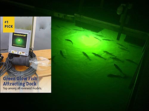Saltwater Approved, Barnacle Burner Bulb, Underwater Fish Light Bright Green 7,900 Lumens, Single Dock Light Complete Kit, 50' Lamp Cable, Automatic Dusk To Dawn, Easy Self Installation. #TOP2