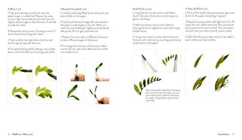 Wildflower Watercolor: The Beginner’s Guide to Painting Beautiful Florals