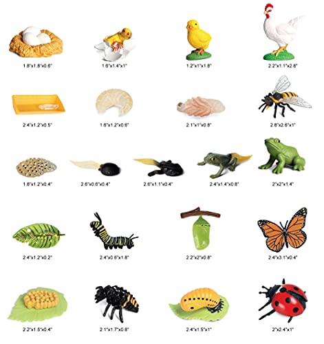 Orgmemory Animals Figures, 20Pcs Insect Toys, Life Cycle Of Action Model, Plastic Bug Figurines Toy, Early Educational Toys Science Project Christmas Birthday Gift For Kids (Set A) #TOP1