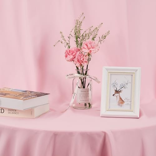 Fondo fotográfico rosa 6x9 FT para estudio miniatura 4