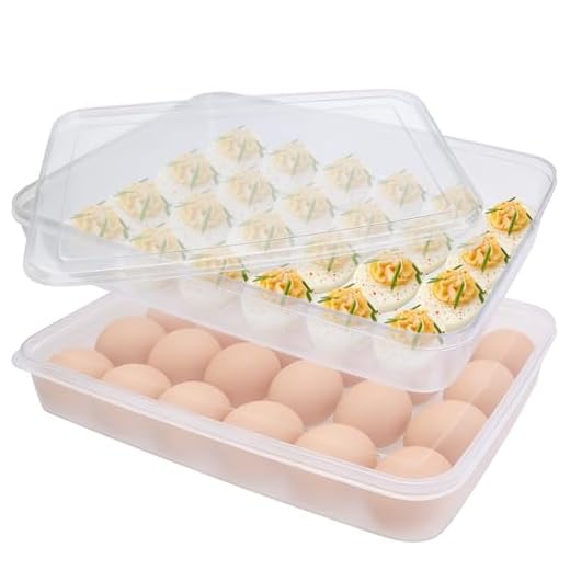 2 Pack Covered Egg Holder,Clear Egg Holder Storage Container,Stackable Plastic Refrigerator Egg Trays for Deviled Egg,Protect and Keep Fresh(48 Eggs)