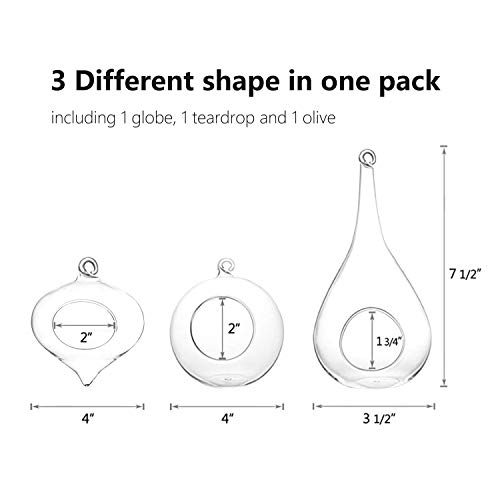 Mkono 3 Pack Glass Hanging Planter Air Fern Holder Terrarium Plants Hanger Vase Home Decoration Gift Idea For Succulent Moss Tillandsias Air Plants, Olive, Globe And Teardrop (Plant Not Included) #TOP6