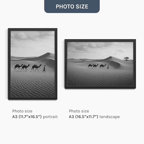 Image of Premium A3 Size Photo Frame for Wall (11.7x16.5 inch, Set of 3) - Photo Frames For Wall Decor and Home Decor | Black | Polished Plexiglass & MDF
