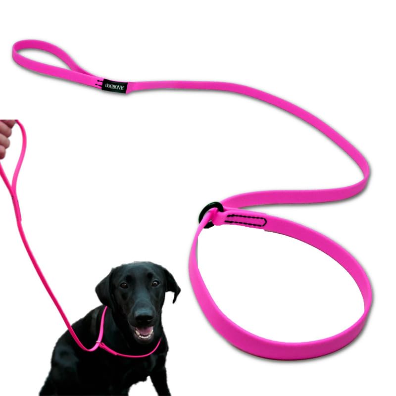 DogBone Slip Lead for Small, Medium, & Large Dogs &ndash; No Pull Lasso Style Leash & Collar for Control...