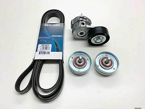 DAYCO Caffaro Marshall Serpentine Belt, rullo & 2