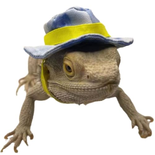 2 peças, chapéu de cowboy de dragão barbudo e bandana fantasia de réptil de lagarto de Halloween leg