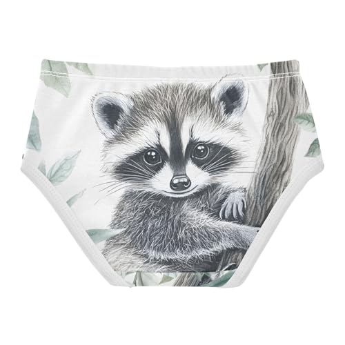 Cute Raccoon Animal Toddler Girls's Underwear 2T 202c03092