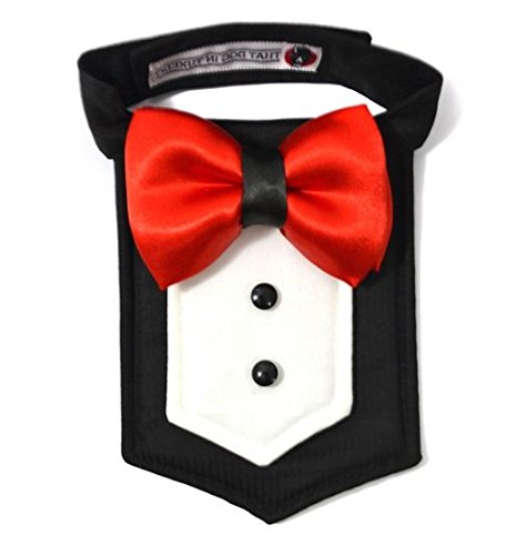 That Dog In Tuxedo Dog Tux Bandana (L) (B071VDZYKB) Amazon Price History, Amazon Price Tracker