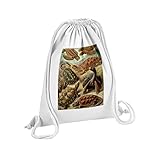 Imprimé en France Fabulous Sac de Gym en Coton Blanc Planche de Tortue Gravure Ancienne Dessin Biologie 12 Litres