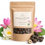 Nenufrana Semillas de Loto - 30 Semillas de Nelumbo nucifera de Alta Germinación - Colores Variados - Flor Acuática para Cuenco, Estanque y Jardín, Planta Ornamental para Interior y Exterior