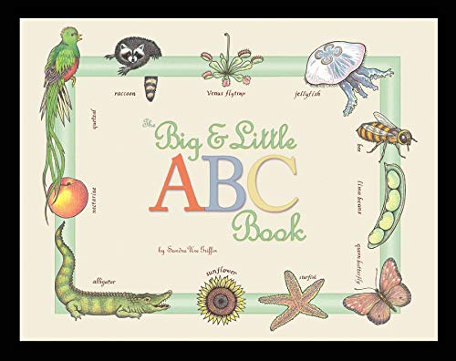 The Big and Little ABC