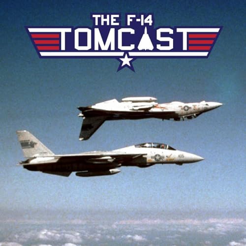 21. Flying the F-14 Tomcat Air Show Demo Podcast Por  arte de portada