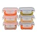 Elacra [4oz, 6-Pack] Glass Baby Food Storage Containers Small Glass Containers with BPA-Free & Locking Lids - Freezer, Oven and Microwave Safe, Pink and Purple Lids