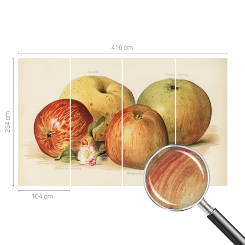 Papier Peint Fleurs de Pommier Pose Murale Sans Colle 416x254