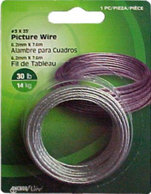 Image of 212 Main 121106 25 ft. Picture Wire