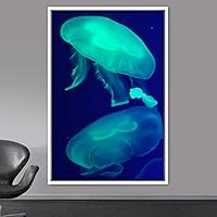 Framed Canvas Wall Art Jellyfish Bedroom Colorful Jellyfish Marine Life Multicolor Neon Photography Tropical - 16x24 inches