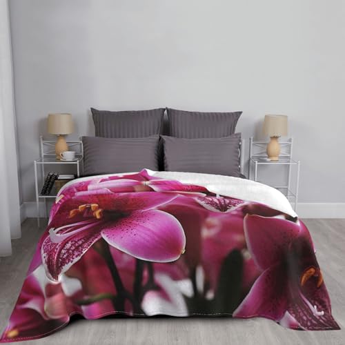 Couverture polaire flanelle lit plaid peluche rose pour canapé et fauteuil