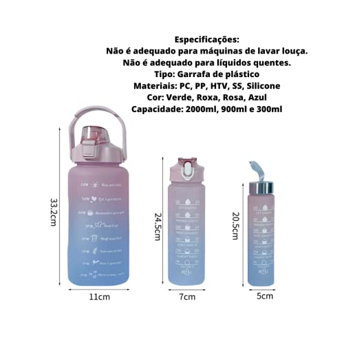 Kit 3 Garrafas 2 Litros 900ml 300ml Garrafas Água Canudo Adesivos 3d e 2d Squeeze Academia Fitness E