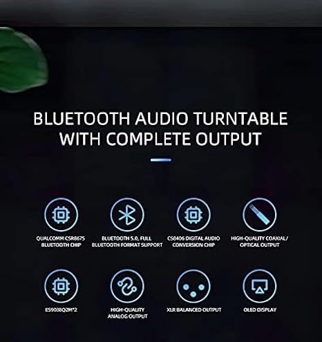 XDUOO XQ-100 Decoder Bluetooth 5.0 CS8406 ES9038Q2M DAC Receiver Converter