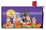 Briarwood Lane Trick or Treat Dogs Halloween Magnetic Mailbox Cover Cat Jack O'Lantern Standard