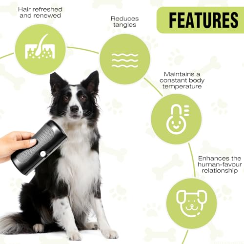 YAOZUP Fellwunder Bürste hund, Pfotenmond Bürste, Groomify Pet Care Brush, Hunde Bürsten, Deshedding Brush, Hundebürste für Hunde, Haustier-Enthaarungskamm, Pflegekämme für Katze und Hund