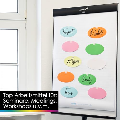 OfficeTree 250x Moderationskarten Oval 19 x 11 cm - Metaplankarten Oval 6 Farben - Moderationskarten Set Bunt - Lehrerbedarf für Präsentation und Vortrag