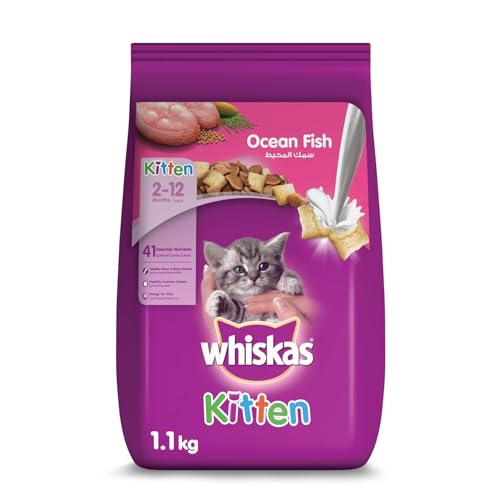 Whiskas Dry Cat Food Ocean Fish with Milk 1.1kg Pouch for Moms and Kittens Prebiotics and Colostrum