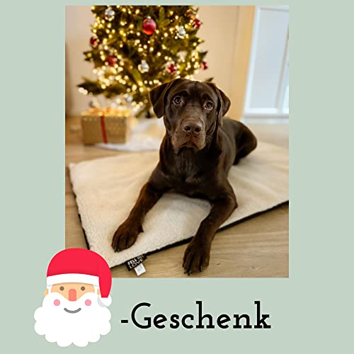 Fellou Heizdecke Katze 90 x 64 cm - Selbstheizende Decke Katze - Waschbar, Knisterfrei & rutschfest - Wärmedecke Hund - Heizmatte Haustier - Kuschelig weiche Wärmematte ohne Strom in beige