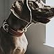 HUNTER AALBORG SPECIAL Hundehalsband, Leder, strapazierfähig, komfortabel, 55 (M), cognac