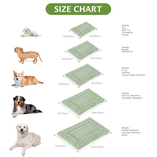 BVAGSS Flauschiges Orthopädisches Hundebett, Waschbar Hundematte, rutschfeste Unterseite, Plüsch Hundekissen Weiche und Warme Hundematte für klein mittel große Hunde XH082 (60x45cm,Grün)