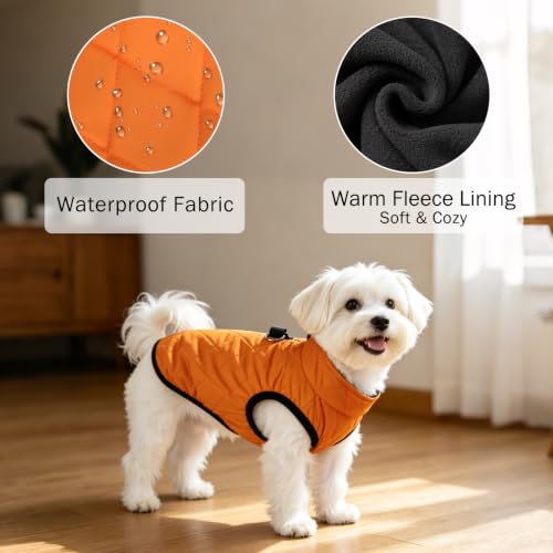Image of SCENEREAL Halloween Thanksgiving Dog Coat with Built-in Harness