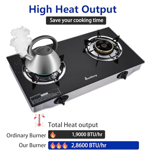 2 Burner Propane Stove Two Burner, Portable Tempered Glass Auto