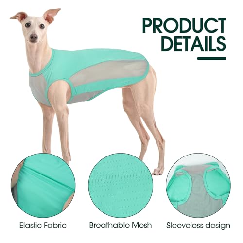 Kuoser Kühlweste Hund, L Hundekühlweste Sommer, UV-Schutz Shirt, Atmungsaktive Kühljacke, Leichte Sonnenschutz-Bekleidung, Insektenschutz für Outdoor, Must-Have für heiße Tage, Blau