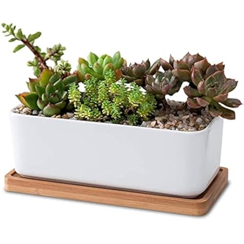 Pots de fleurs rectangulaires LATRAT Cover