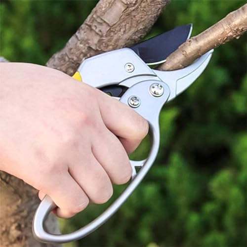 Image of Number-one Pruning Shears, Premium High Carbon Alloy Steel Bypass Garden Pruner with Ratchet Mechanism, Professional Tree Trimmer Scissors & Plant Cutter Secateurs