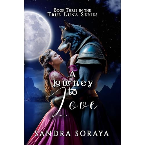 A Journey to Love Audiobook By Sandra Soraya cover art