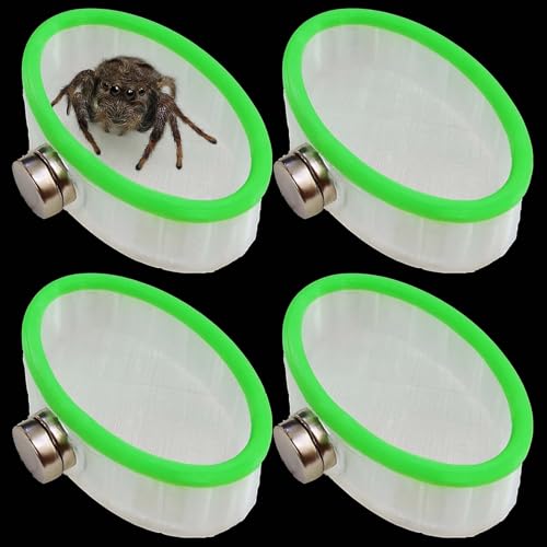 TAOHUAJIANG WsOXpC_[pCMZbgAFttzCgA4pbNA}Olbgt঒މaAXpC_[GN[W[ANZT[(+O[{[_[)